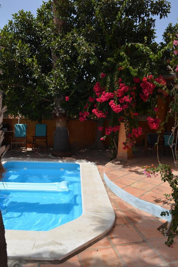 Apartamento Con Jacuzzi Y Terraza Con Opcion A Piscina Privada Almuñécar Eksteriør bilde